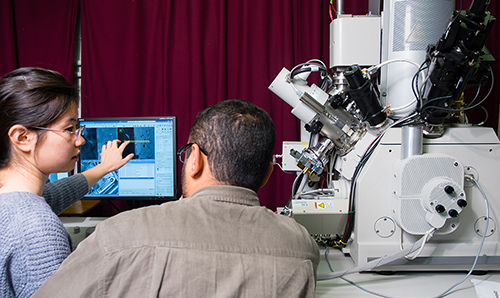 Student and employer discussing contents of a computer screen